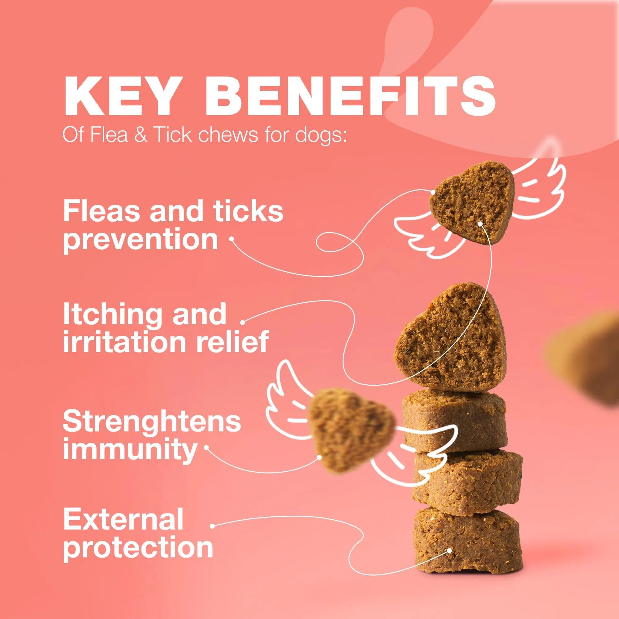 Lokia™ Shield-Dog: Flea & Tick Defense | Prevención Natural de Pulgas y Garrapatas para perros (Soft Chews)