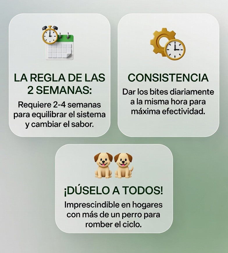 Lokia™ Bye-Bye Poop: No-Poo Bites para Perros | Deterrente de Coprofagia y Salud Digestiva (120 Soft Chews)