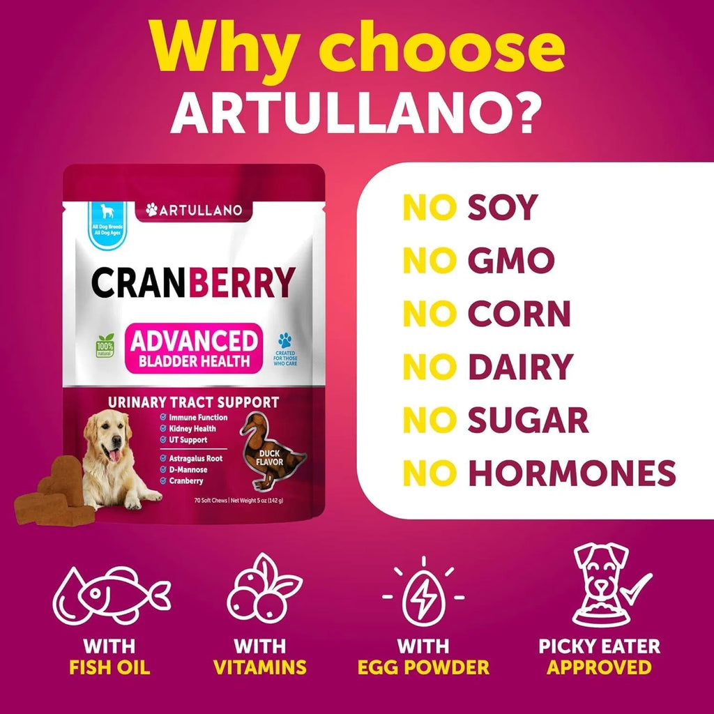 Lokia™ Crystal-Clear: Urinary & Kidney Support para Perros | Control de Vejiga y Arándano Rojo (70 Soft Chews)