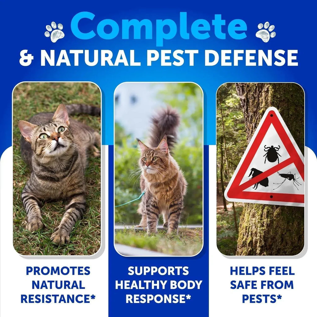 Lokia™ Cat-Shield: Prevención Natural de Pulgas y Garrapatas para Gatos | Con Vitaminas B1, B6 y B12 (135 Soft Chews)