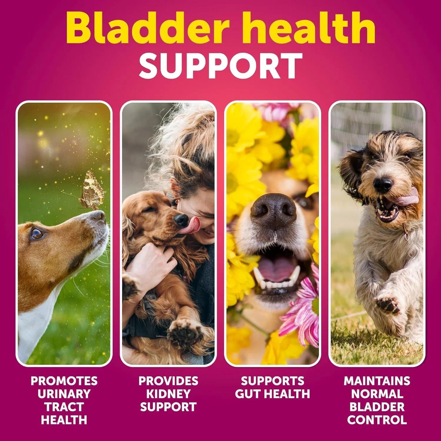 Lokia™ Crystal-Clear: Urinary & Kidney Support para Perros | Control de Vejiga y Arándano Rojo (70 Soft Chews)