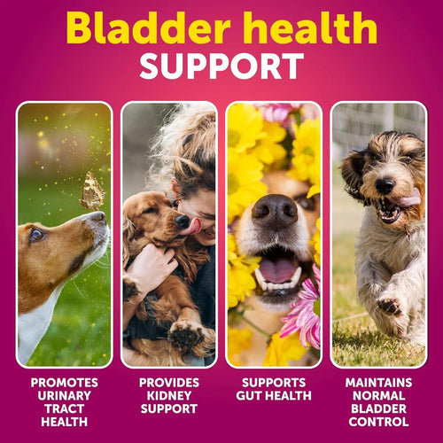 Lokia™ Crystal-Clear: Urinary & Kidney Support para Perros | Control de Vejiga y Arándano Rojo (70 Soft Chews)