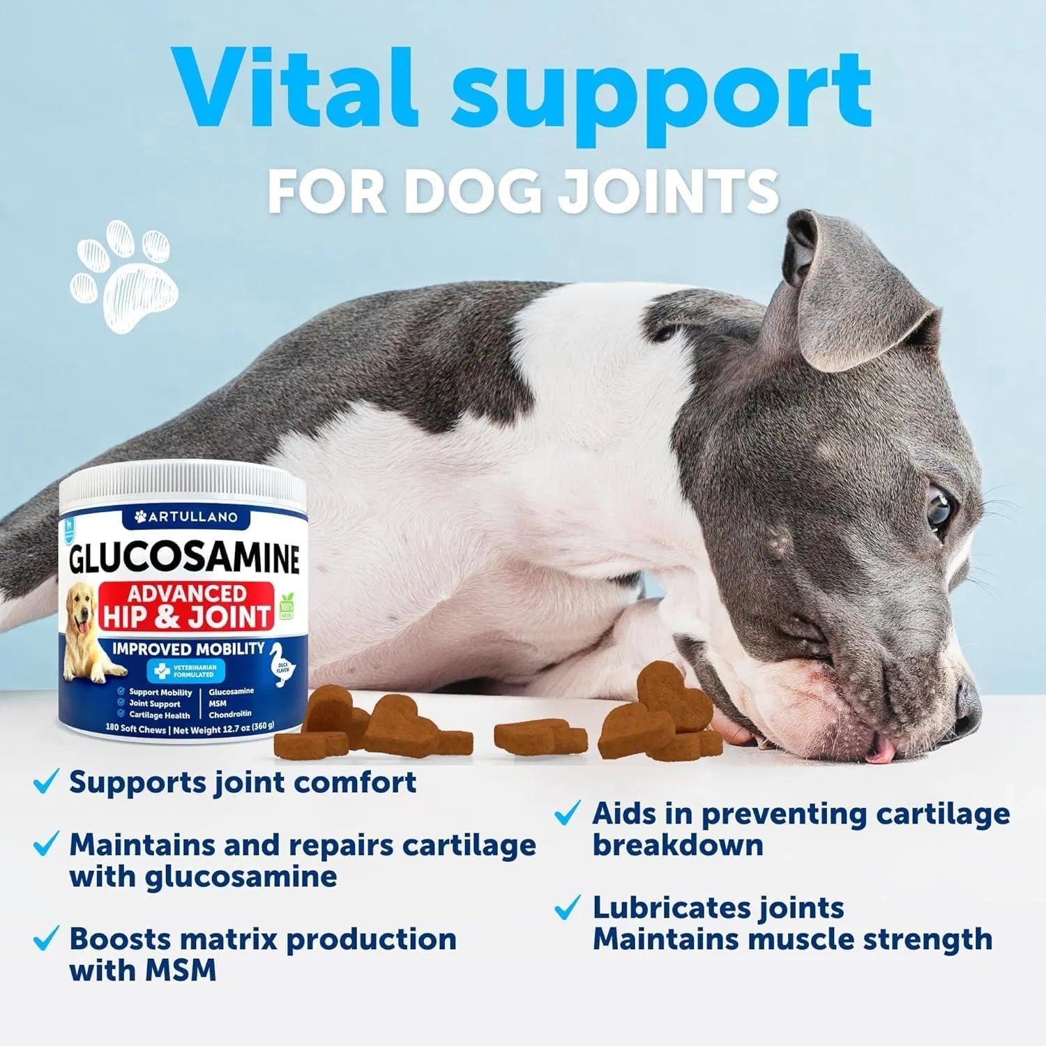 Lokia™ Flex-Move: Glucosamine & Chondroitin Complex | Soporte Articular, Cadera y Movilidad (120 Soft Chews)