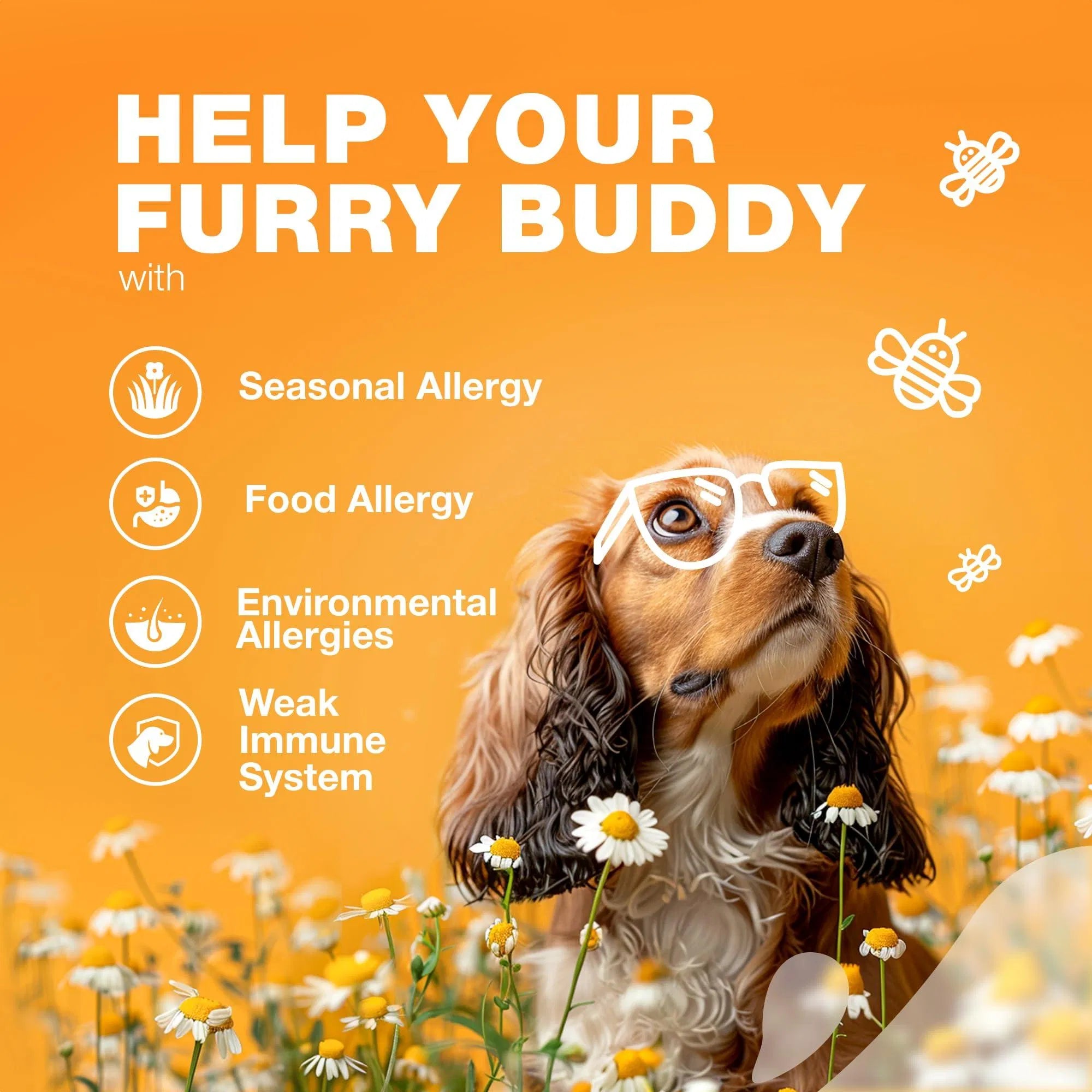 Lokia™ Itch-Free Advanced: Allergy & Hot Spot Support | Alivio Inmunitario con Aceite de Salmón y Cáñamo (Soft Chews)