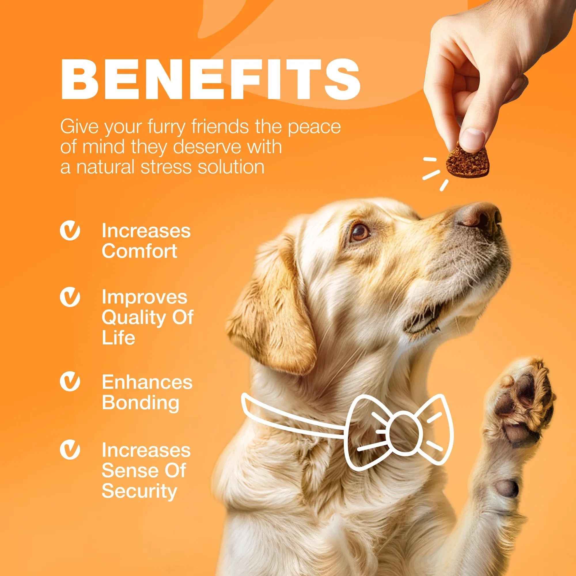 Lokia™ Itch-Free Advanced: Allergy & Hot Spot Support | Alivio Inmunitario con Aceite de Salmón y Cáñamo (Soft Chews)