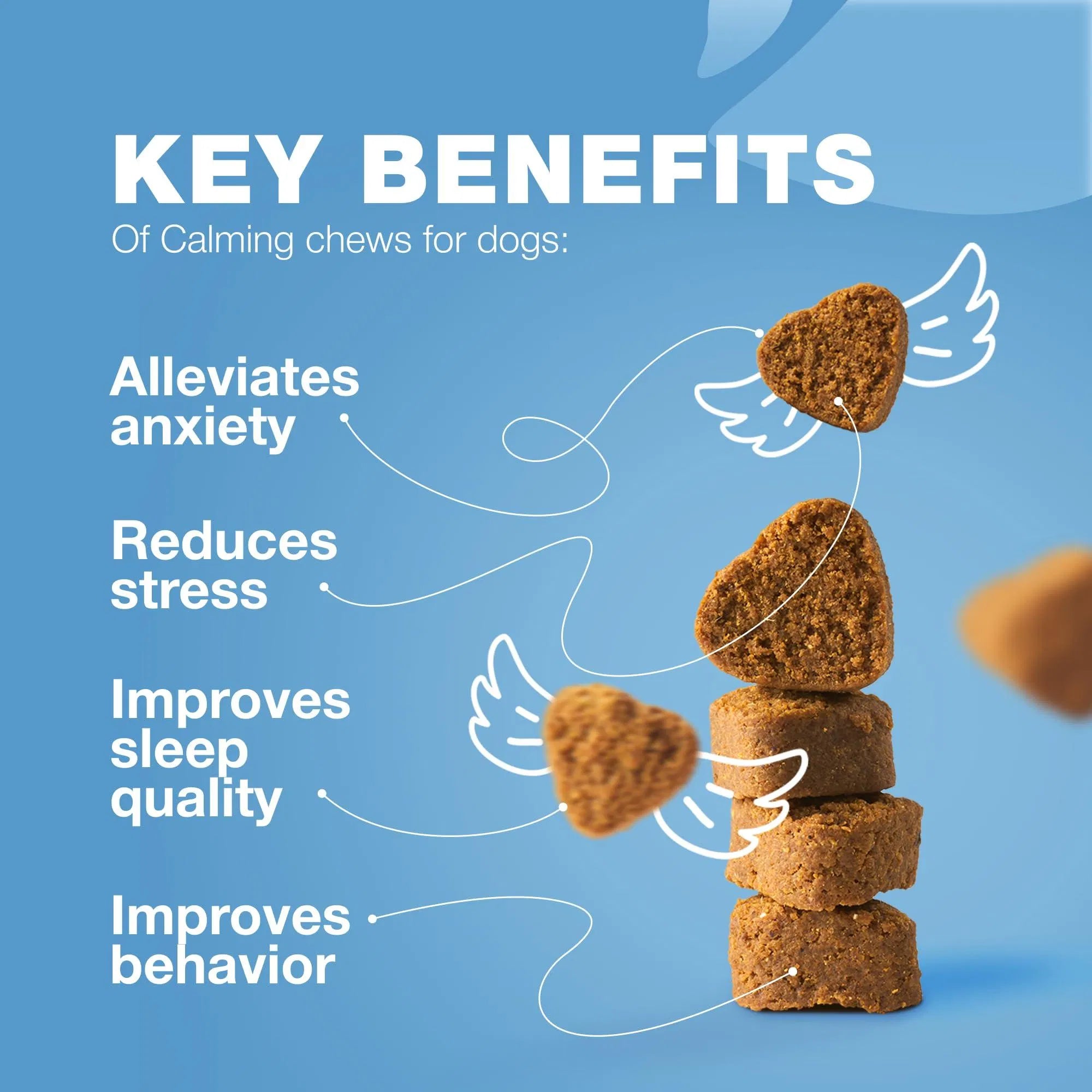 Lokia™ Zen-Bites Night & Travel | Fórmula con Melatonina para Pánico, Viajes y Descanso (Soft Chews)