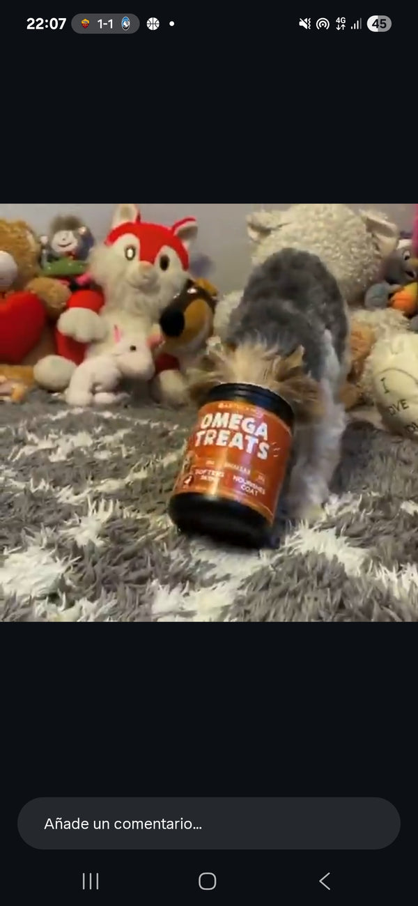 Luna ama sus Zen Bites 🐕