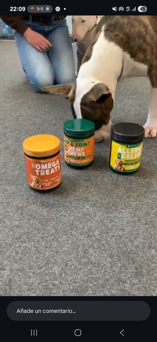 Luna ama sus Zen Bites 🐕