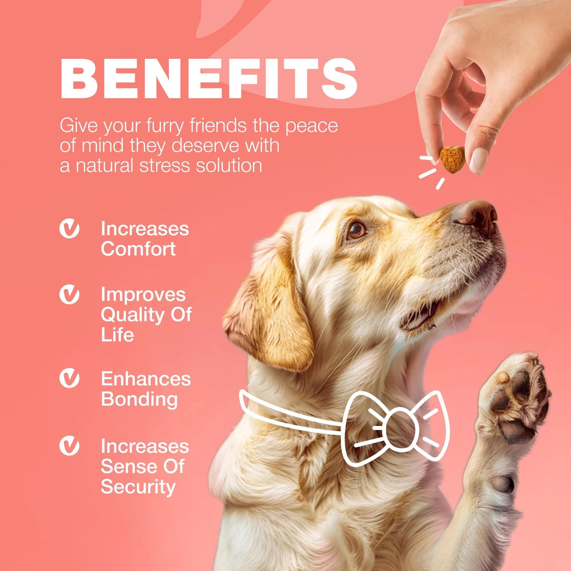 Lokia™ Shield-Dog: Flea & Tick Defense | Prevención Natural de Pulgas y Garrapatas para perros (Soft Chews)