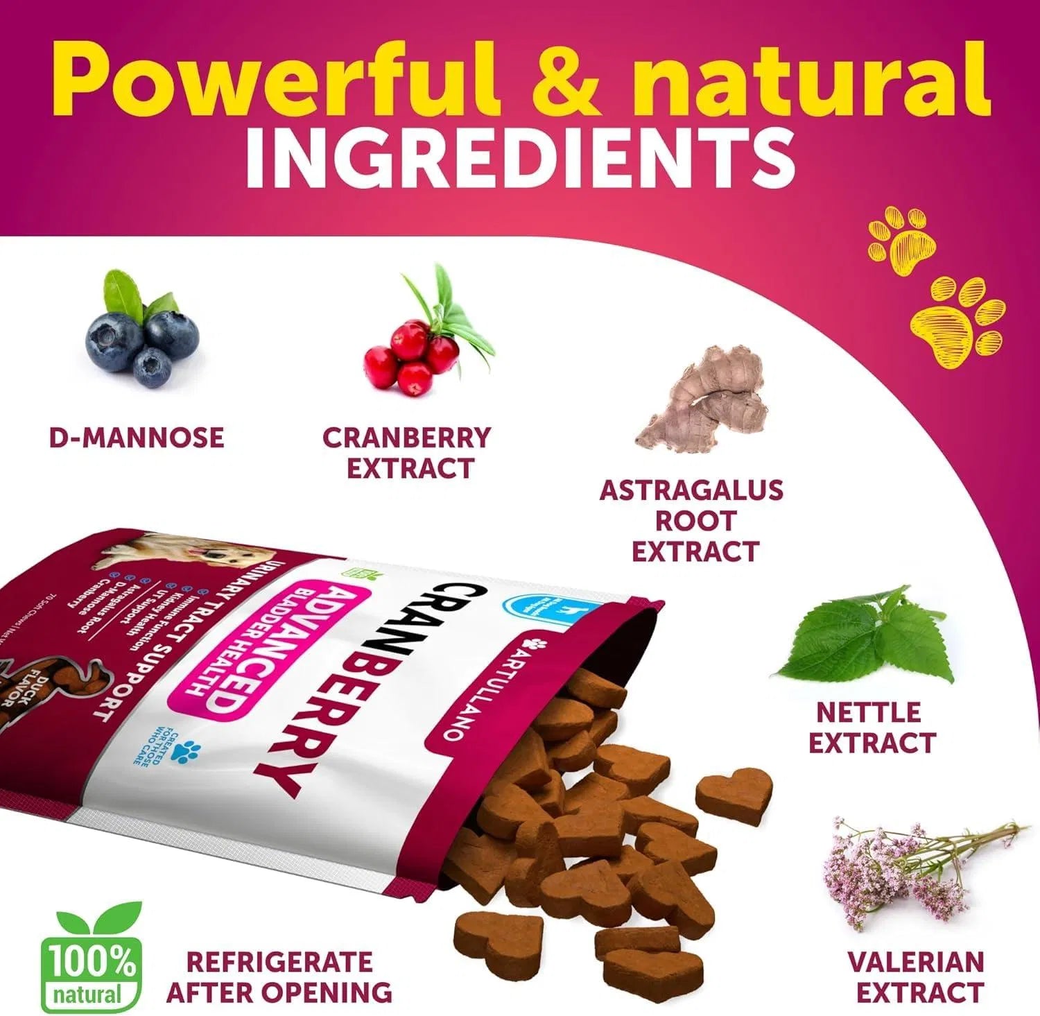 Lokia™ Crystal-Clear: Urinary & Kidney Support para Perros | Control de Vejiga y Arándano Rojo (70 Soft Chews)