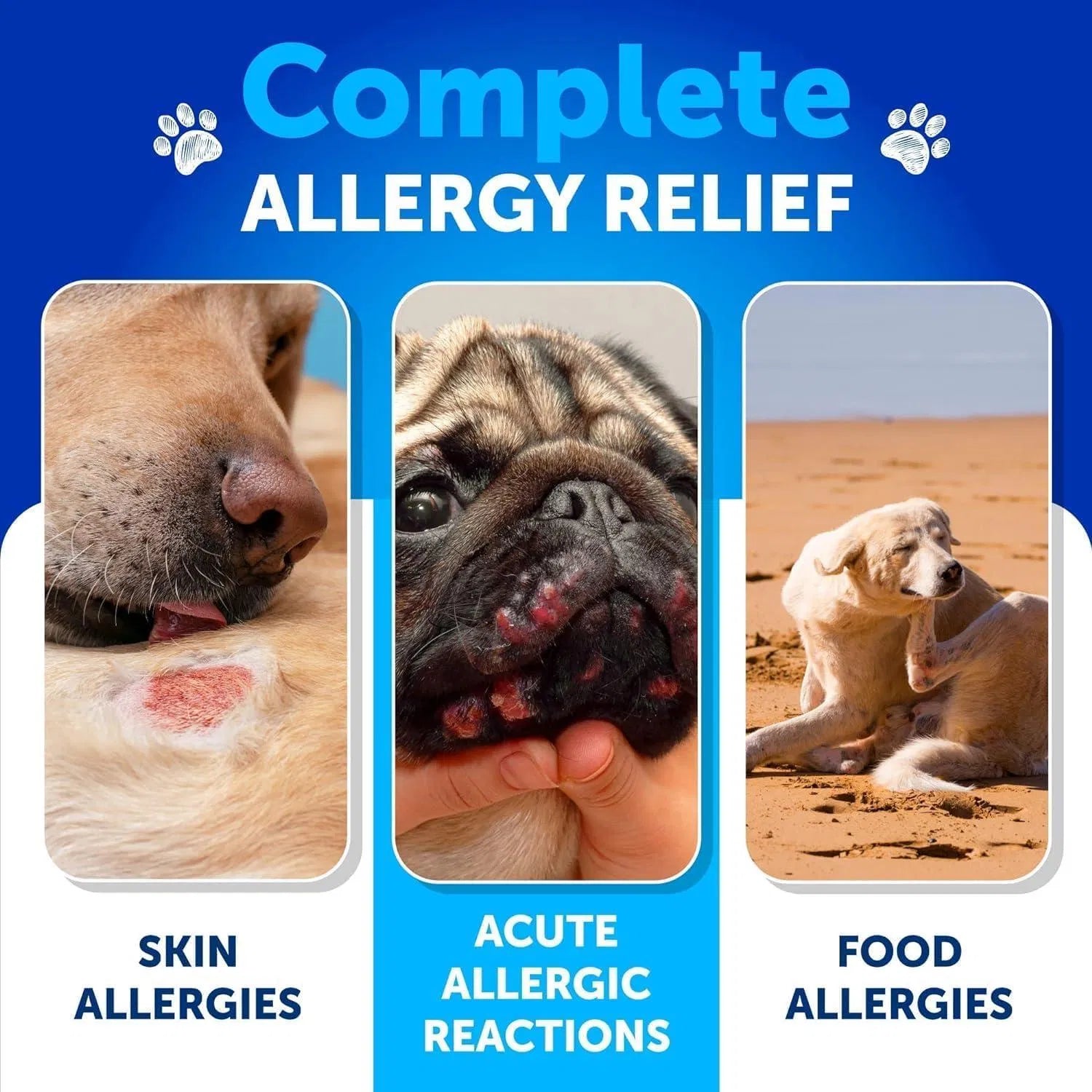 Lokia™ Itch-Free: Allergy & Immune Support para Perros | Alivio de Picor y Salud de la Piel (120 Soft Chews)