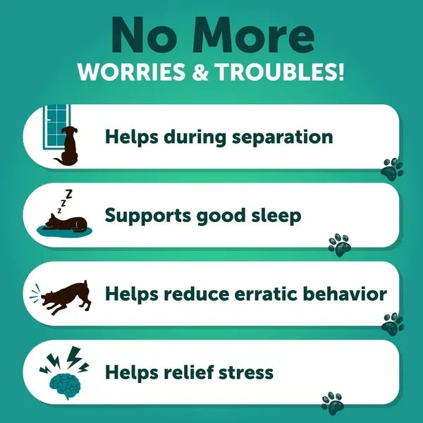 Lokia™ Zen Bites – Relajante para Perros para Fuegos Artificiales y Tormentas | Con Cáñamo (120 Chews)